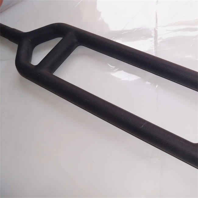 Carbon fiber walking stick